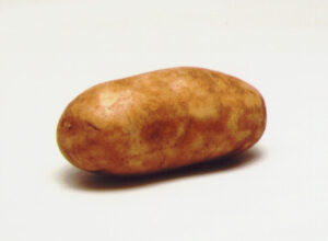 Potato-image